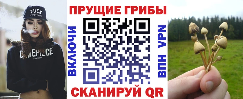 купить наркотики цена  Новая Усмань  Галлюциногенные грибы мицелий 